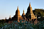 Old Bagan Myanmar. Group of monuments on the NW corner of the old city. 